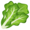 Leafy Green emoji on Emojione